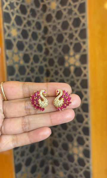 Earrings ER223