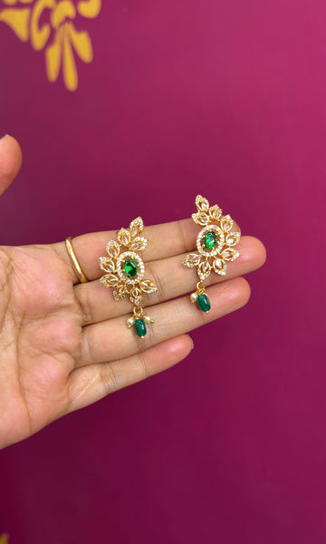 Earrings ER148