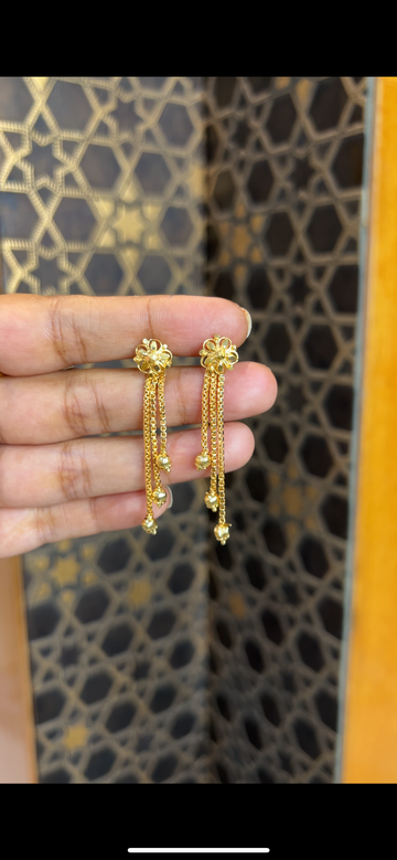 Earrings ER218
